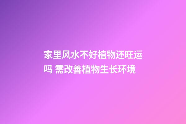 家里风水不好植物还旺运吗 需改善植物生长环境